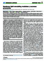 Membrane lipid remodeling modulates γ-secretase processivity