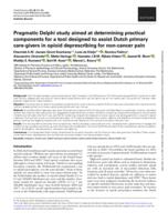 Pragmatic Delphi study aimed at determining practical components for a tool designed to assist Dutch primary care-givers in opioid deprescribing for non-cancer pain