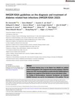 IWGDF/IDSA guidelines on the diagnosis and treatment of diabetes-related foot infections (IWGDF/IDSA 2023)