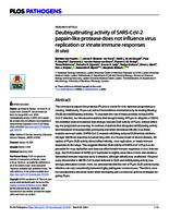 Deubiquitinating activity of SARS-CoV-2 papain-like protease does not influence virus replication or innate immune responses in vivo