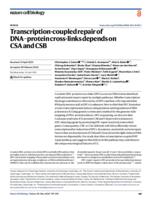 Cockayne syndrome proteins CSA and CSB promote transcription-coupled repair of DNA-protein crosslinks independently of nucleotide excision repair