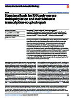 Structural basis for RNA polymerase II ubiquitylation and inactivation in transcription-coupled repair