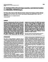 An Arabidopsis Minute-like phenotype caused by a semi-dominant mutation in a RIBOSOMAL PROTEIN S5 gene