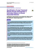 Quantification of large transmural biopsies reveals heterogeneity in innervation patterns in chronic myocardial infarction