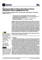 Exploring the effects of human bone marrow-derived mononuclear cells on angiogenesis in vitro