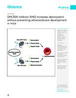 DHCR24 inhibitor SH42 increases desmosterol without preventing atherosclerosis development in mice