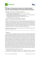 The role of functional amyloids in multicellular growth and development of Gram-positive bacteria