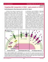 Targeting ABC transporters in PDAC - past, present, or future?