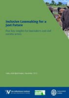 Inclusive lawmaking for a just future