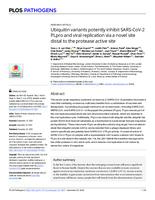 Ubiquitin variants potently inhibit SARS-CoV-2 PLpro and viral replication via a novel site distal to the protease active site