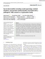 Sacral abnormalities including caudal appendage, skeletal dysplasia, and prenatal cardiomyopathy associated with a pathogenic TAB2 variant in a 3-generation family