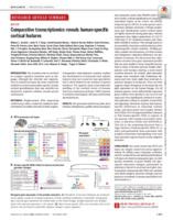 Comparative transcriptomics reveals human-specific cortical features