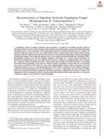 Reconstruction of signalling networks regulating fungal morphogenesis by transcriptomics