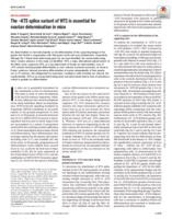 The KTS splice variant of WT1 is essential for ovarian determination in mice