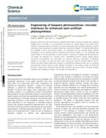Engineering of bespoke photosensitiser-microbe interfaces for enhanced semi-artificial photosynthesis