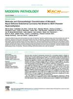 Molecular and clinicopathologic characterization of mismatch repair-deficient endometrial carcinoma not related to MLH1 promoter hypermethylation