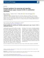 Practical guidance for assessing and reporting lymphovascular space invasion (LVSI) in endometrial carcinoma