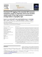 Functional YFP-tagging of the essential GDP-mannose transporter reveals an important role for the secretion related small GTPase SrgC protein in maintenance of Golgi bodies in Aspergillus niger