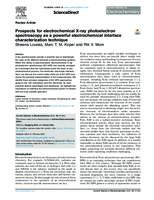 Prospects for electrochemical X-ray photoelectron spectroscopy as a powerful electrochemical interface characterization technique