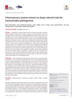 Chemosensory systems interact to shape relevant traits for bacterial plant pathogenesis