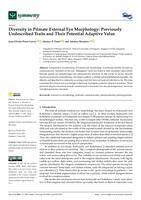 Diversity in primate external eye morphology