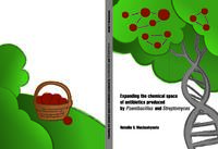 Expanding the chemical space of antibiotics produced by Paenibacillus and Streptomyces