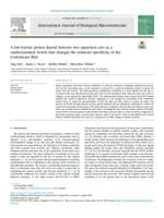 A low-barrier proton shared between two aspartates acts as a conformational switch that changes the substrate specificity of the β-lactamase BlaC