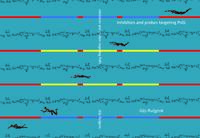 Inhibitors and probes targeting PslG